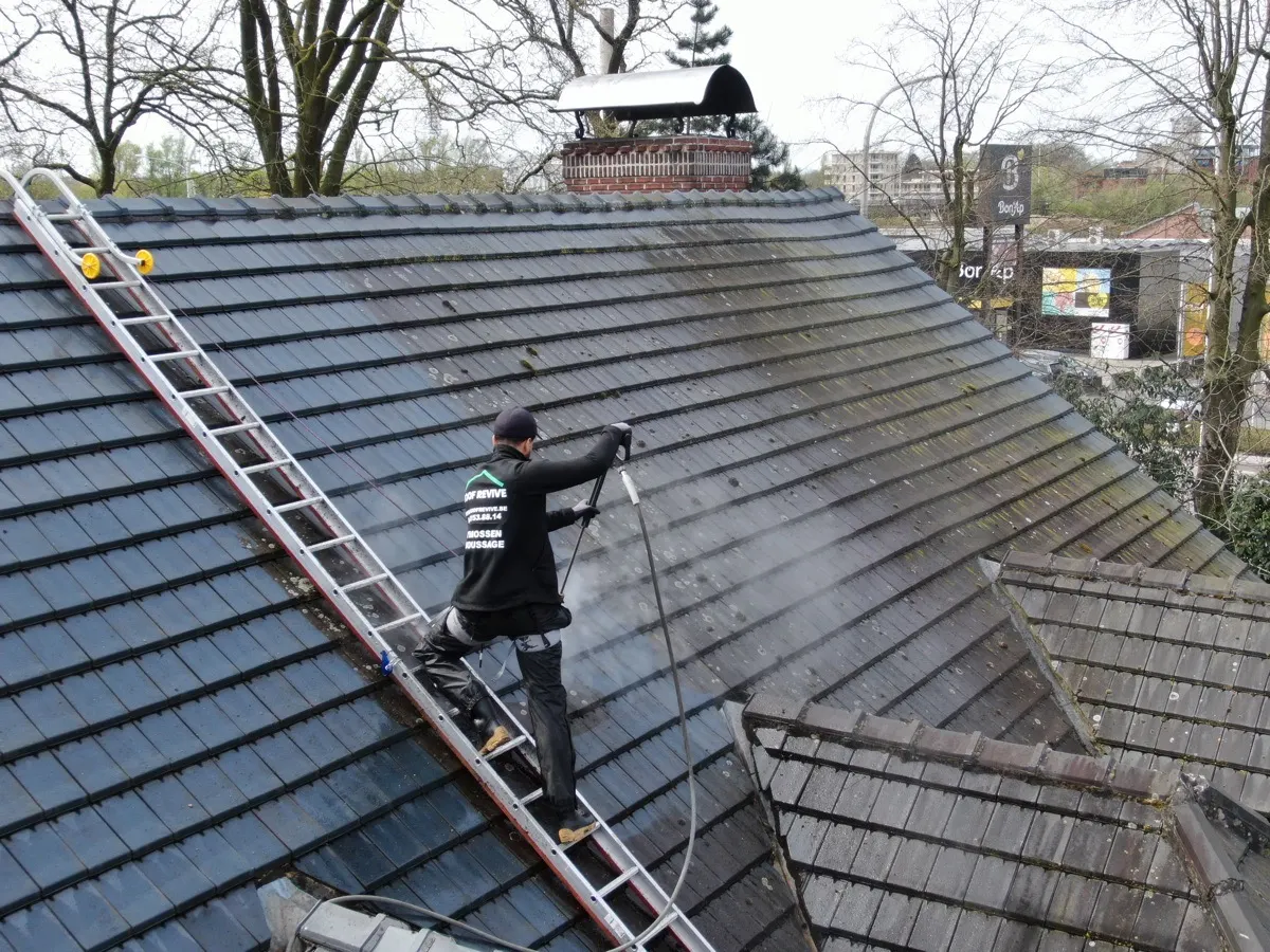 Professionele dakontmossing in Jette — luchtfoto van dakbehandeling door Roof Revive