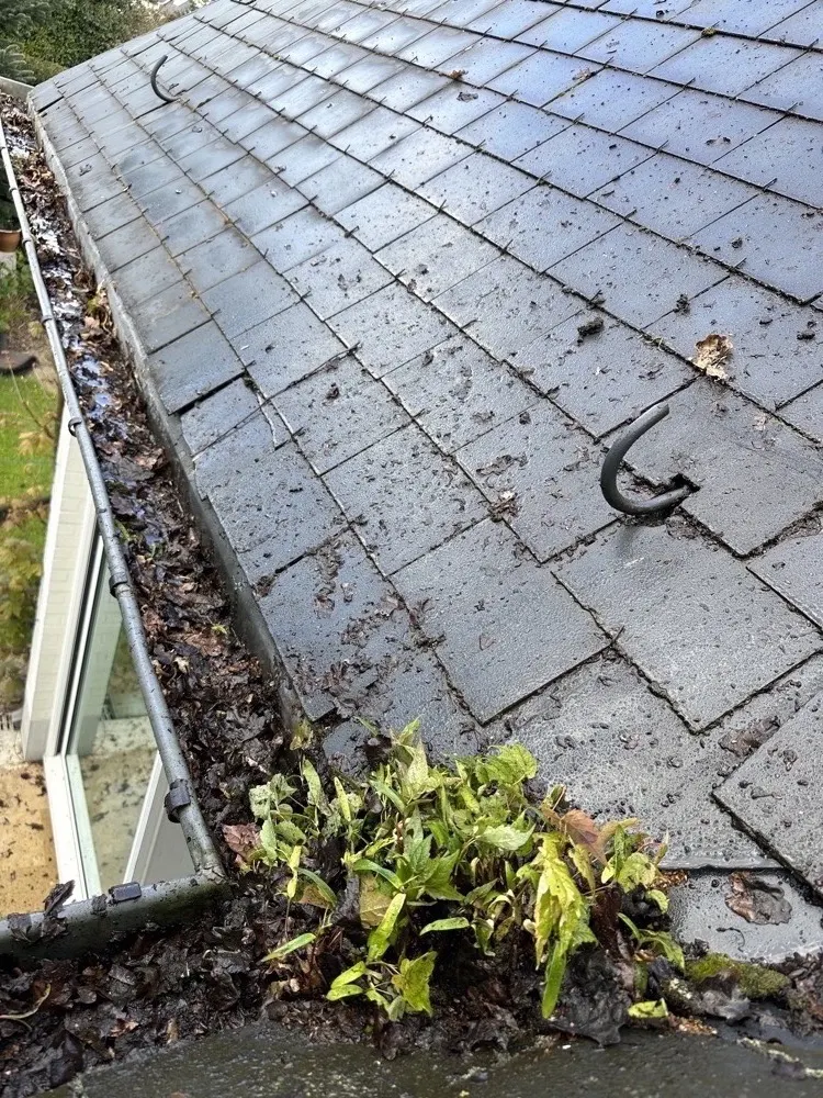 Dakgoot voor reiniging — vol bladeren