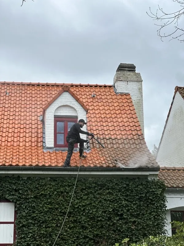Professionele dakreiniging — werknemer reinigt dakpannen