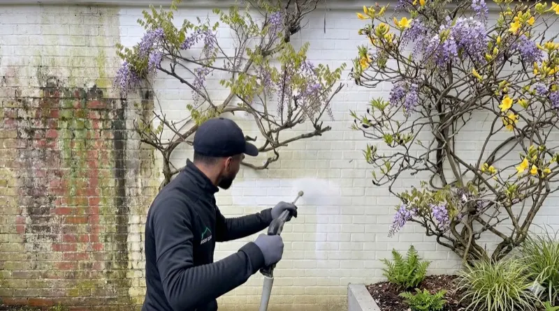 Professionele gevelreiniging met DiBO hoogwerker en kraan