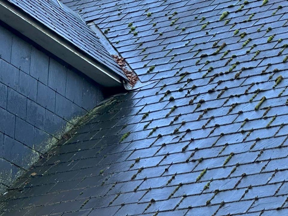 Professionele dakontmossing door Roof Revive — resultaat na behandeling