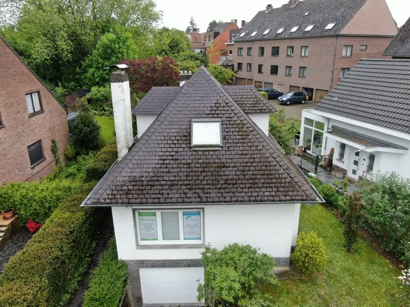 Dakontmossing woning in Antwerpen