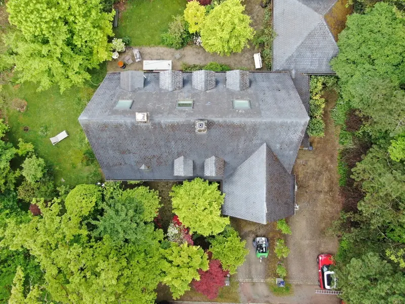 Professionele dakontmossing in Overijse