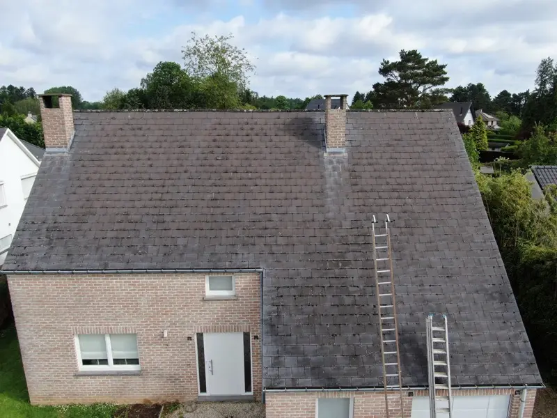 Dakontmossing woning in Mechelen