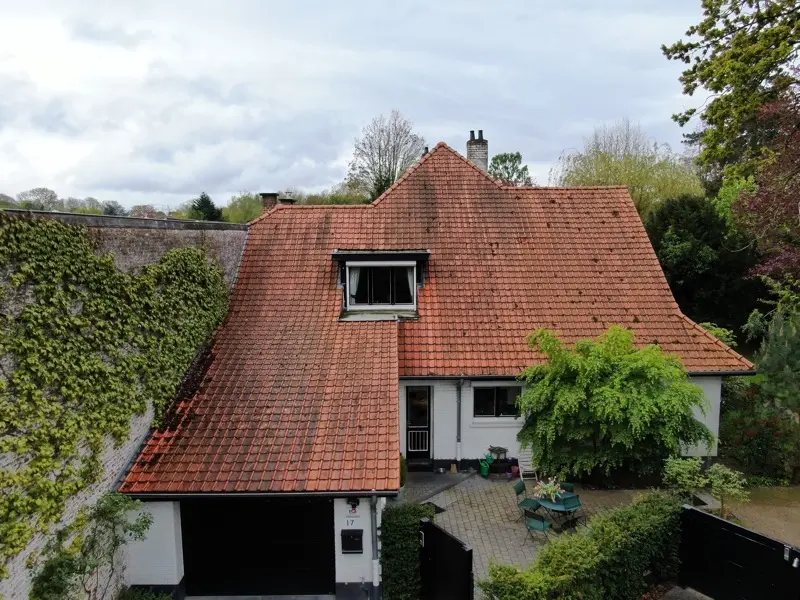 Dakontmossing villa in Vlaams-Brabant