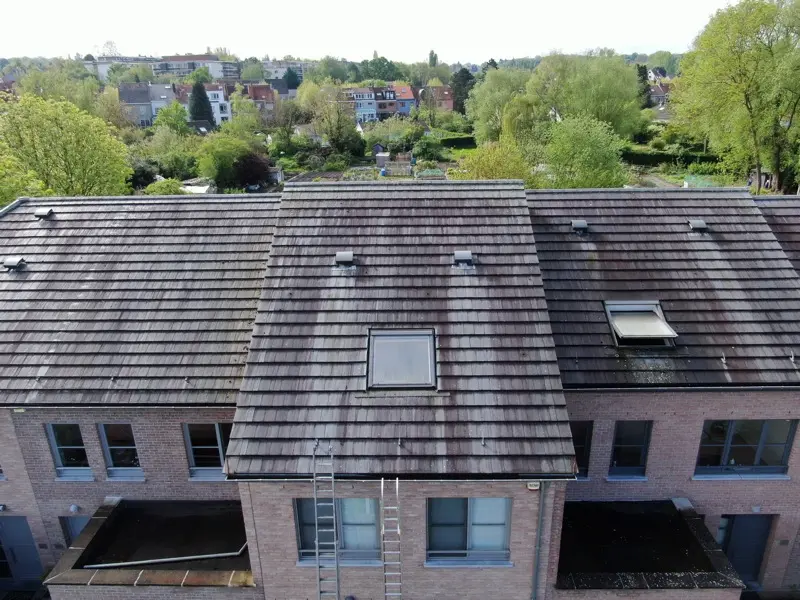 Dakontmossing project in Leuven