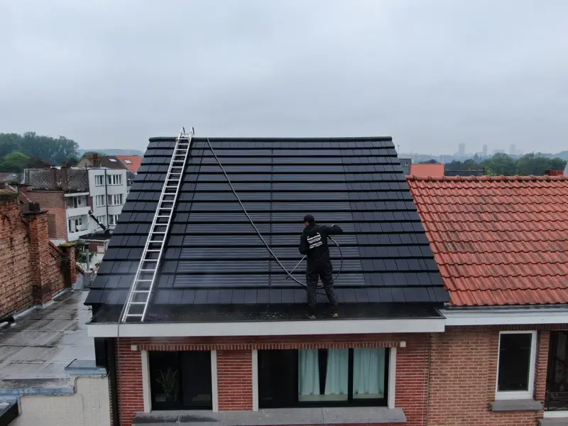 Dakontmossing rijwoning in Brussel