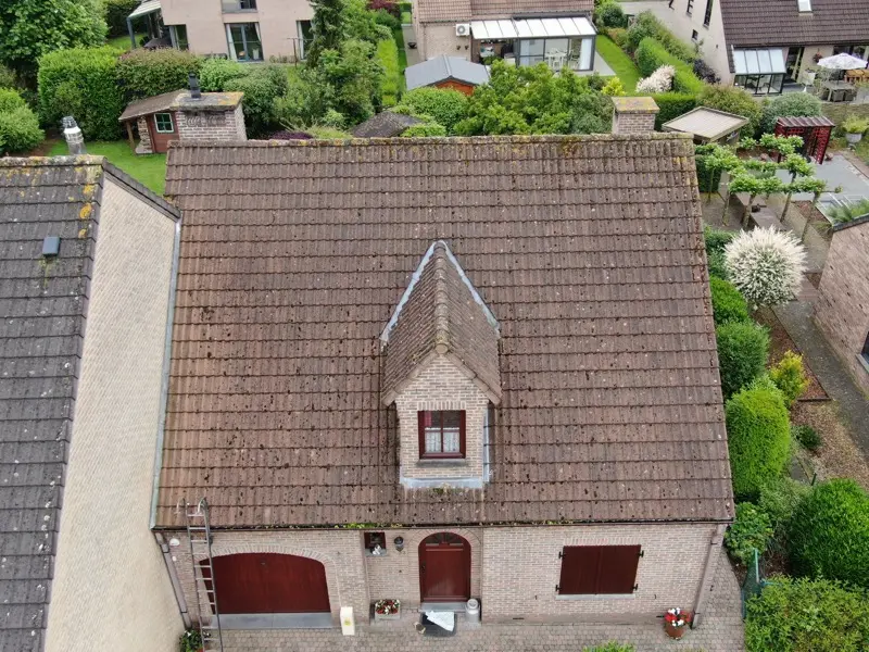 Dakontmossing villa in Brugge