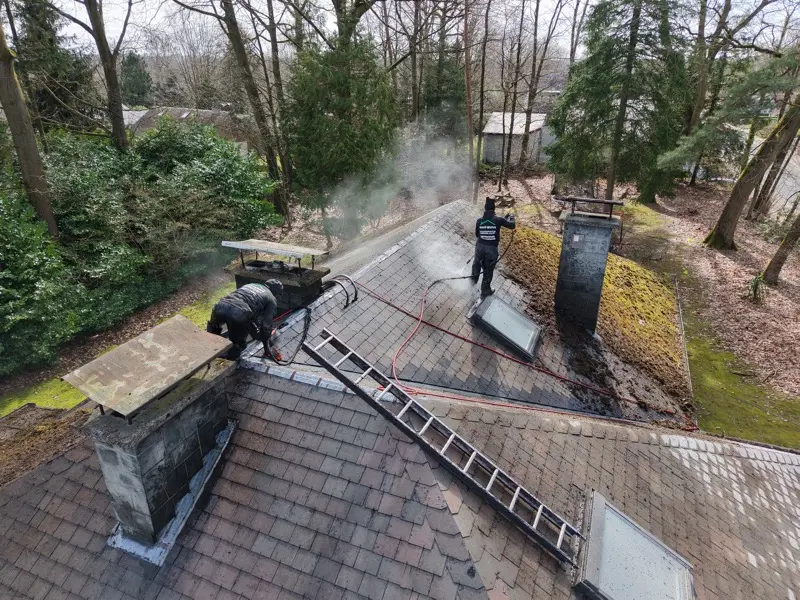 Ecologisch stoom reinigen dak in Hasselt