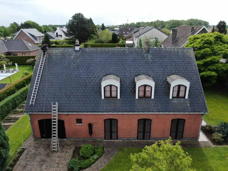 Leien dak ontmossing in Limburg