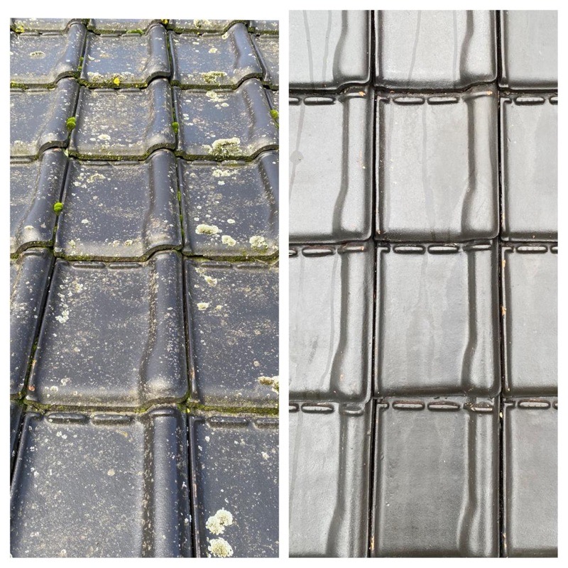 Mos op dakpannen — close-up